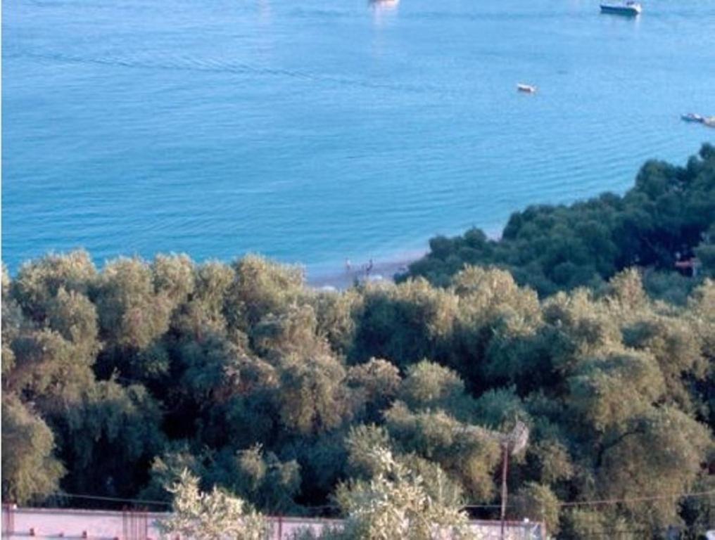 Studios Nikolaou Bros Парга Екстериор снимка
